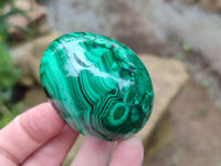 Polished Flower Banded Malachite Eggs x 4 From Congo