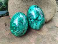 Polished Flower Banded Malachite Eggs x 4 From Congo