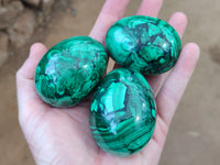 Polished Flower Banded Malachite Eggs x 4 From Congo