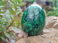 Polished Flower Banded Malachite Eggs x 4 From Congo