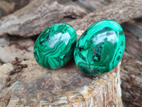 Polished Flower Banded Malachite Eggs x 4 From Congo