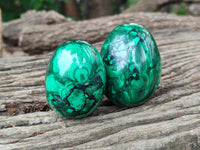 Polished Flower Banded Malachite Eggs x 4 From Congo