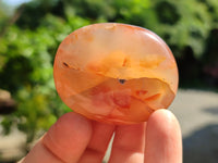 Polished Flower Agate Palm Stones x 24 From Madagascar