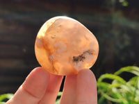 Polished Flower Agate Palm Stones x 24 From Madagascar