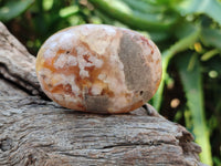 Polished Flower Agate Palm Stones x 24 From Madagascar