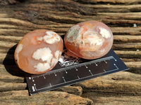 Polished Flower Agate Palm Stones x 24 From Madagascar