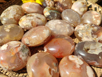 Polished Flower Agate Palm Stones x 24 From Madagascar