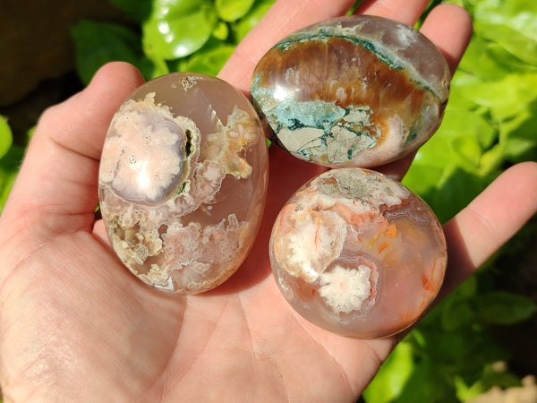 Polished Flower Agate Palm Stones x 24 From Madagascar