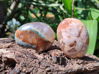 Polished Flower Agate Palm Stones x 24 From Madagascar