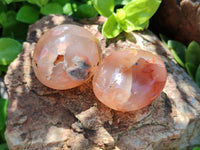 Polished Flower Agate Palm Stones x 24 From Madagascar