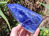 Polished Sodalite Points x 3 From Namibia