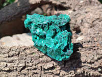 Natural Silky Malachite Specimens x 6 From Kasompe, Congo