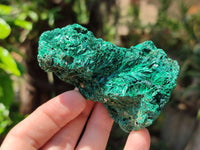 Natural Silky Malachite Specimens x 6 From Kasompe, Congo