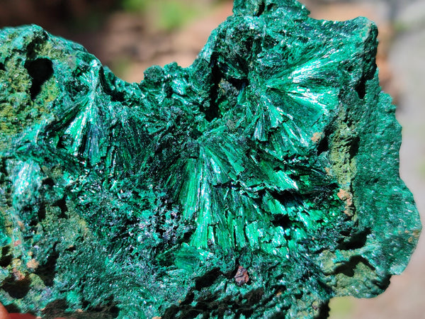 Natural Silky Malachite Specimens x 6 From Kasompe, Congo