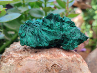 Natural Silky Malachite Specimens x 6 From Kasompe, Congo