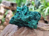 Natural Silky Malachite Specimens x 6 From Kasompe, Congo