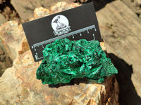 Natural Silky Malachite Specimens x 6 From Kasompe, Congo