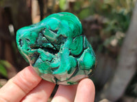 Polished Flower Banded Malachite Free Forms x 6 From Congo