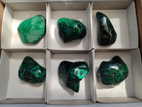 Polished Flower Banded Malachite Free Forms x 6 From Congo