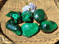 Polished Flower Banded Malachite Free Forms x 6 From Congo