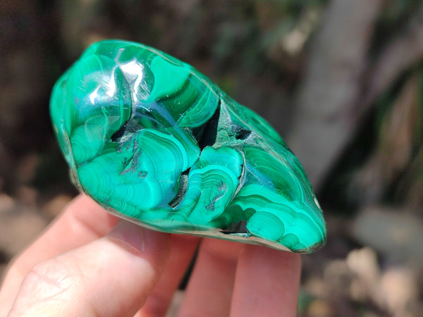 Polished Flower Banded Malachite Free Forms x 6 From Congo