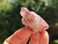 Natural Red Hematoid Quartz Crystals x 35 From Karoi, Zimbabwe