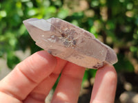 Natural Red Hematoid Quartz Crystals x 35 From Karoi, Zimbabwe