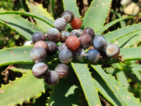 Polished Botswana Agate Beaded Necklace - Sold Per Item- From Botswana