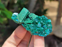 Natural Dioptase On Dolomite Specimens x 6 From Likasi, Congo