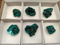 Natural Dioptase On Dolomite Specimens x 6 From Likasi, Congo