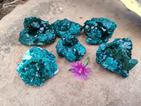 Natural Dioptase On Dolomite Specimens x 6 From Likasi, Congo