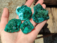 Natural Dioptase On Dolomite Specimens x 6 From Likasi, Congo