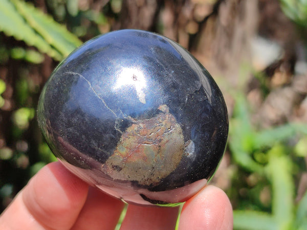 Polished Pharaoh Stone Palm Stones x 12 From Zimbabwe