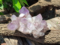 Natural Jacaranda Amethyst Quartz Clusters x 2 from Mumbwa, Zambia