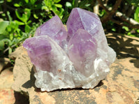 Natural Jacaranda Amethyst Quartz Clusters x 2 from Mumbwa, Zambia