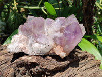 Natural Jacaranda Amethyst Quartz Clusters x 2 from Mumbwa, Zambia