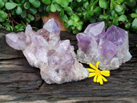 Natural Jacaranda Amethyst Quartz Clusters x 2 from Mumbwa, Zambia