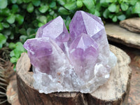 Natural Jacaranda Amethyst Quartz Clusters x 2 from Mumbwa, Zambia