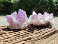 Natural Jacaranda Amethyst Quartz Clusters x 2 from Mumbwa, Zambia