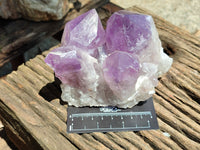 Natural Jacaranda Amethyst Quartz Clusters x 2 from Mumbwa, Zambia