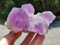 Natural Jacaranda Amethyst Quartz Clusters x 2 from Mumbwa, Zambia