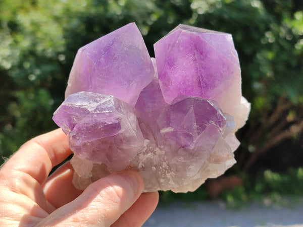 Natural Jacaranda Amethyst Quartz Clusters x 2 from Mumbwa, Zambia