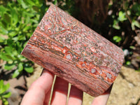 Polished Snakeskin Jasper Candle Holders x 2 From Australia