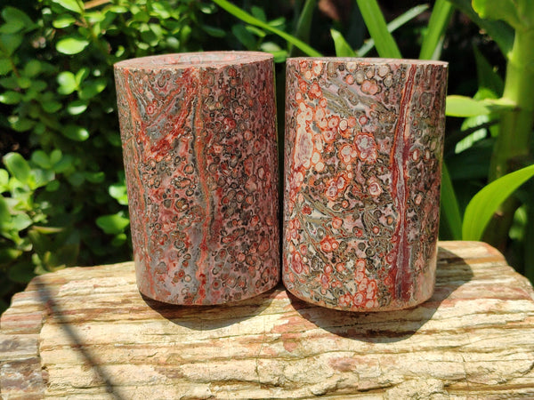 Polished Snakeskin Jasper Candle Holders x 2 From Australia