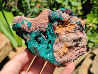 Natural Dioptase Cabinet Specimen x 1 From Congo