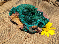 Natural Dioptase Cabinet Specimen x 1 From Congo