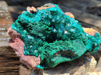 Natural Dioptase Cabinet Specimen x 1 From Congo