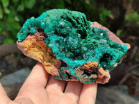 Natural Dioptase Cabinet Specimen x 1 From Congo