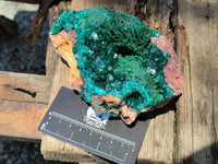 Natural Dioptase Cabinet Specimen x 1 From Congo