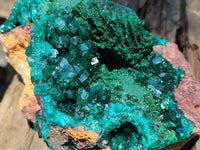 Natural Dioptase Cabinet Specimen x 1 From Congo